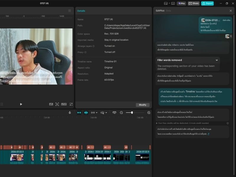 prompt-input-subtitle
